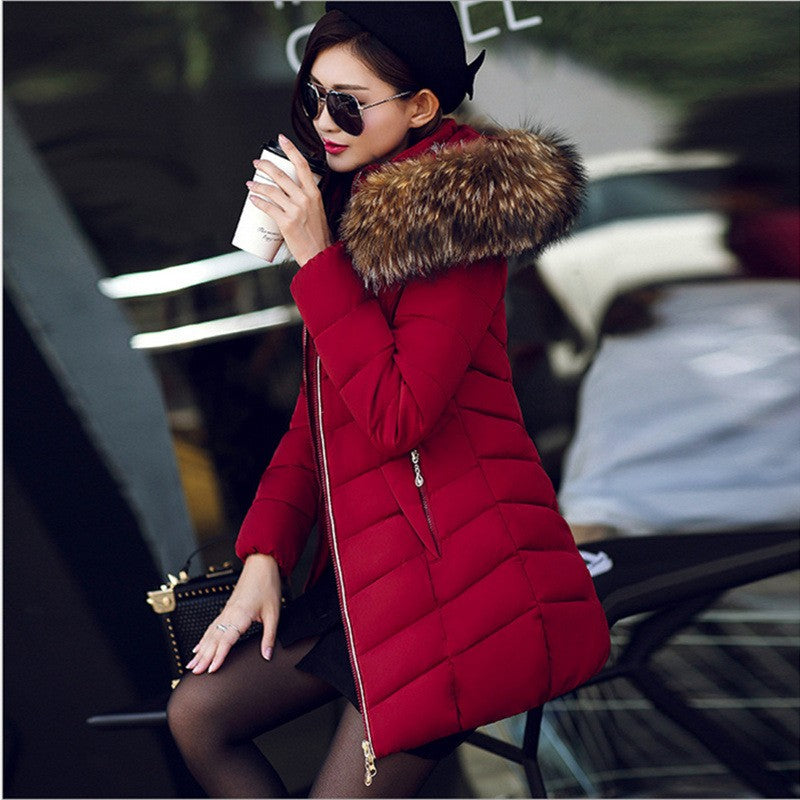 Winter Jacket 