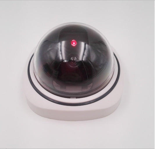 Simulation camera