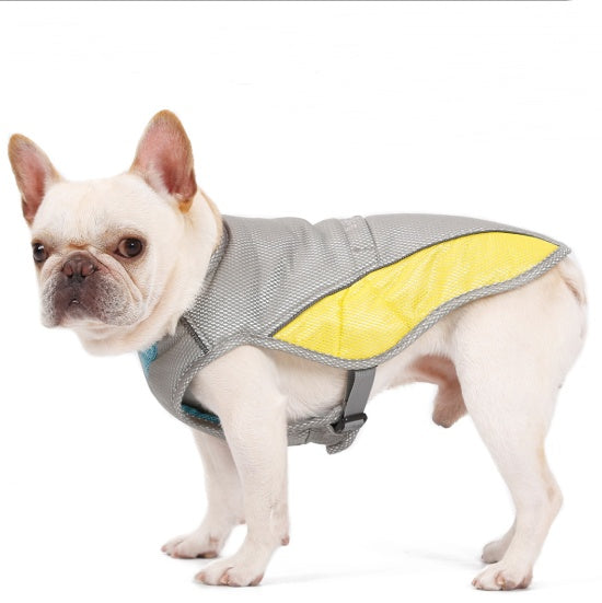 Heatstroke And Cooling Dog Clothes